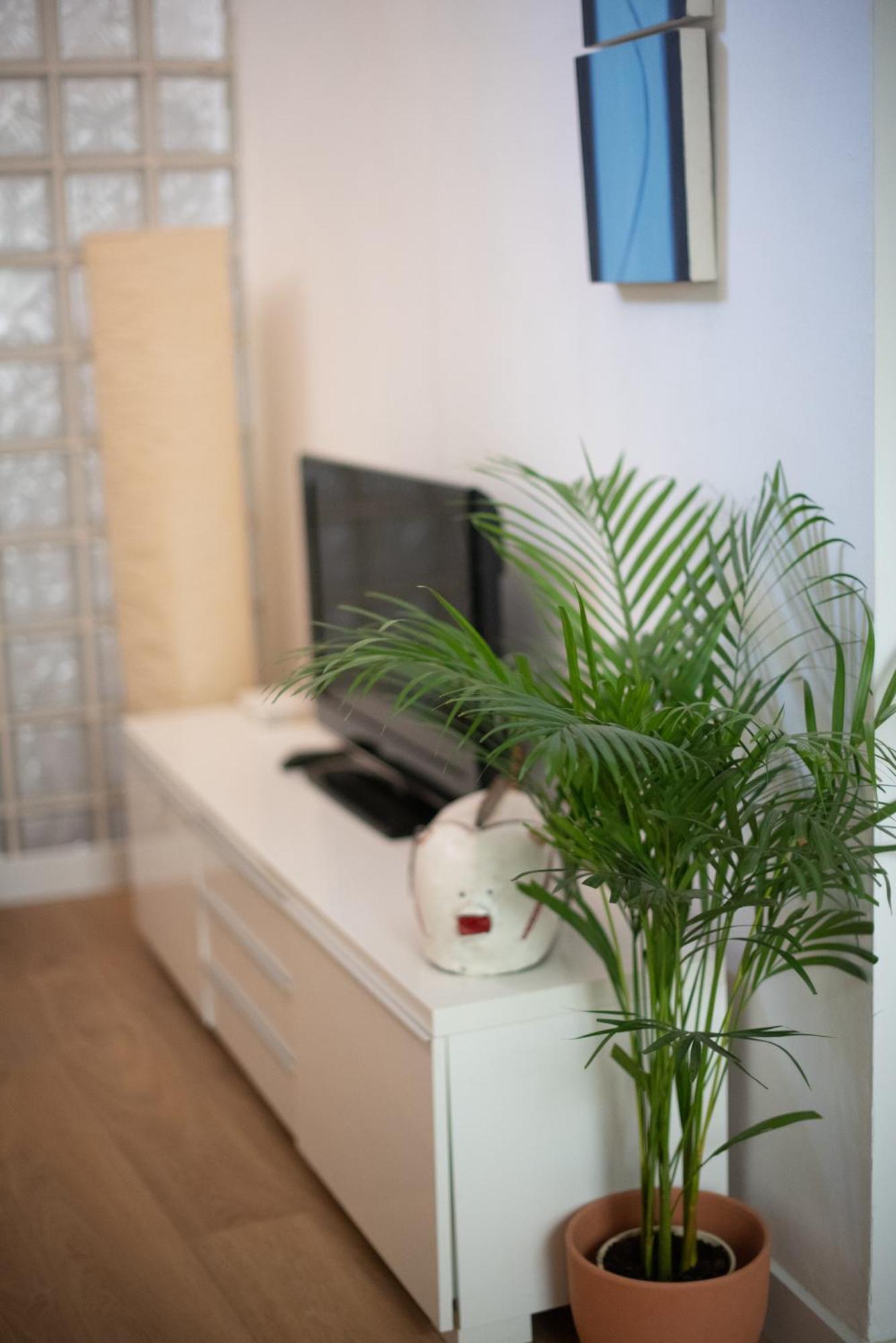 Cozy & Quiet Apartment In The Center Malaga Ngoại thất bức ảnh